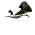 uccellobianco uccellobianco